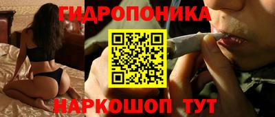 тгк Аргун