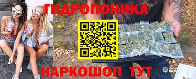 тгк Аргун
