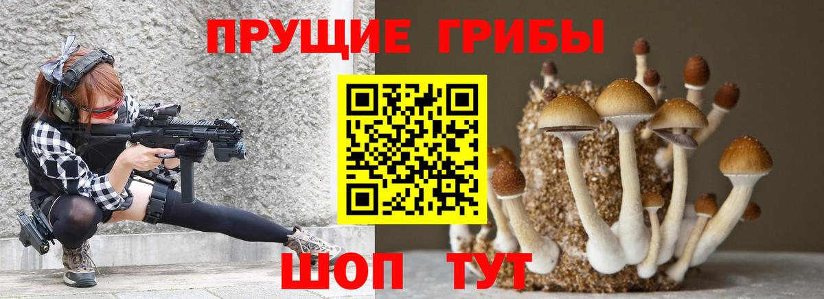 Галлюциногенные грибы Psilocybe  Вход с VPN  Асино 