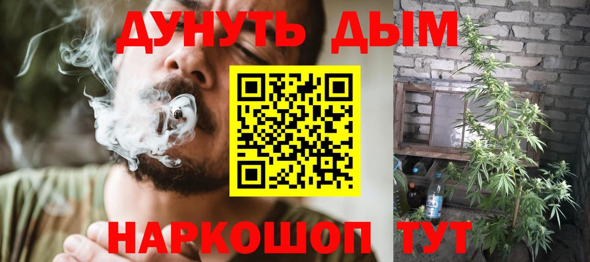 Каннабис Ganja  Асино  Бошки Шишки ГИДРОПОН  Марихуана OG Kush 