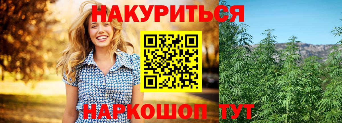 Конопля марихуана  Бошки Шишки тримм  Асино  Вход с VPN  Конопля индика 